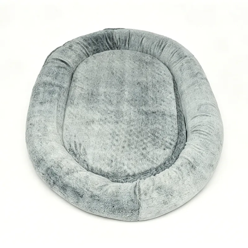 Dual-Use Sponge Bed for Humans and Dogs