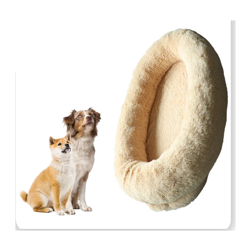 Dual-Use Sponge Bed for Humans and Dogs